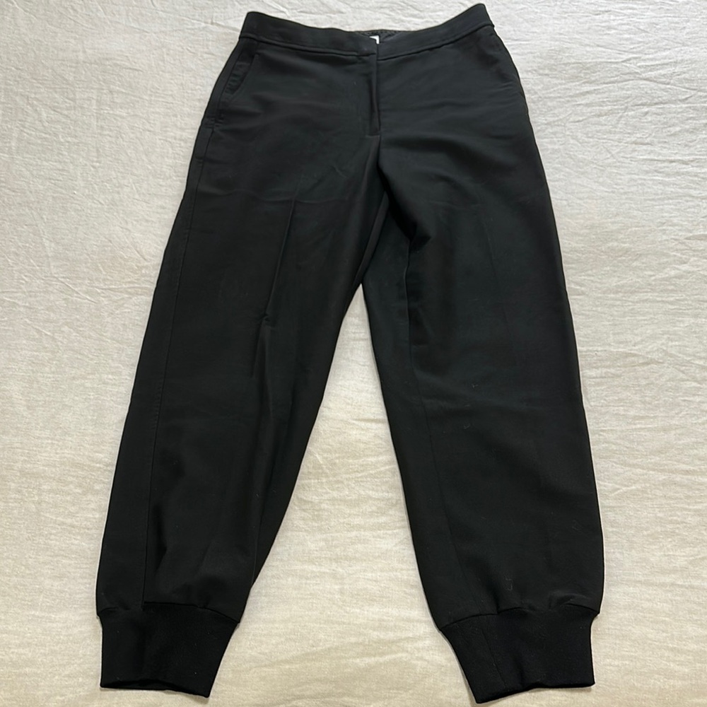 Aritzia Babaton Allegory Jogger - Sz 6